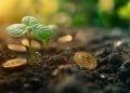 Data dashboard showing Bitcoin's market indicators and growth trends in 2024