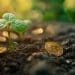 Data dashboard showing Bitcoin's market indicators and growth trends in 2024
