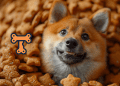 Shiba Inu dog logo overlaid with the words "Privacy-Focused Blockchain"