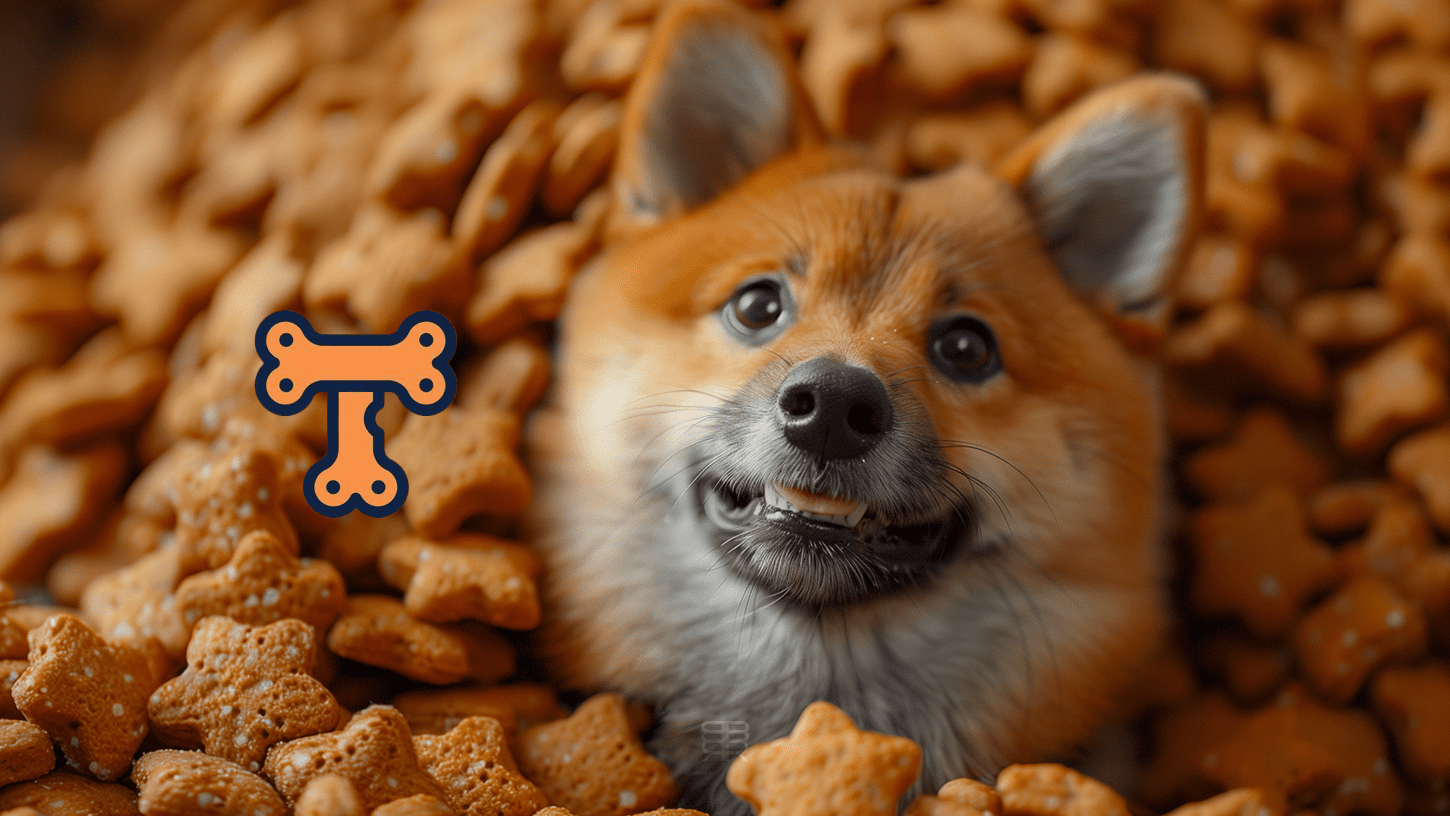 Shiba Inu dog logo overlaid with the words "Privacy-Focused Blockchain"