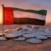 DFSA Approves USDC and EURC: A New Era for Stablecoins in Dubai’s Financial Hub