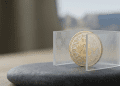 Minimalist 3D editorial image of a Bitcoin coin featuring South African protea and springbok motifs, enclosed within frosted glass barriers to represent 2026 capital controls.